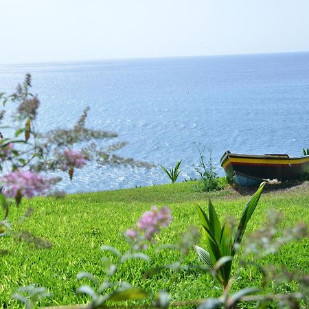 Apartamento Quinta Golfinho Arco da Calheta  Exterior foto