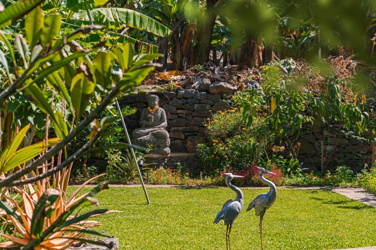 Apartamento Quinta Golfinho Arco da Calheta  Exterior foto