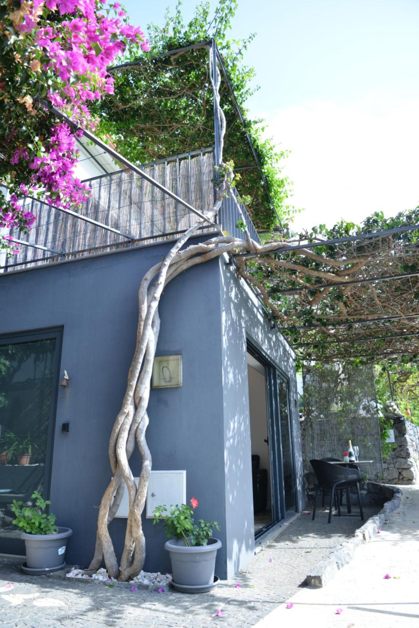 Apartamento Quinta Golfinho Arco da Calheta  Exterior foto