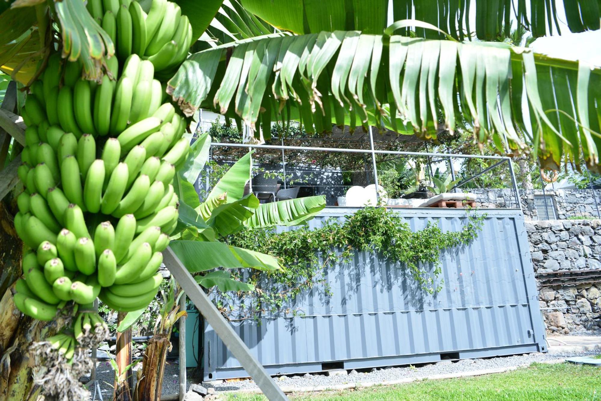 Apartamento Quinta Golfinho Arco da Calheta  Exterior foto